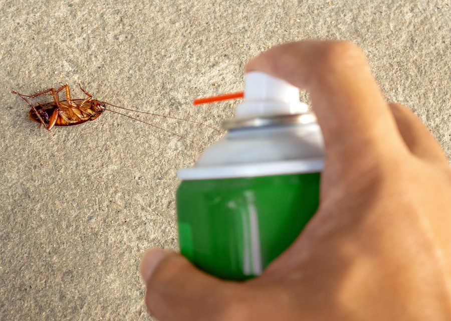Bob's Rid-X Termite & Pest pest control work in Creswell