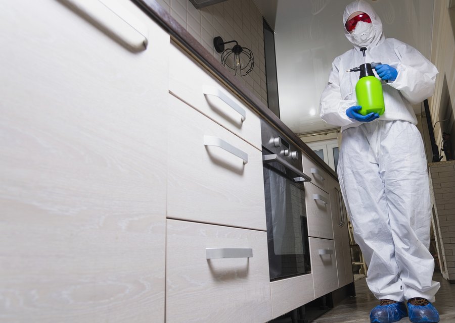D & L Pest Control pest control work in Amherst