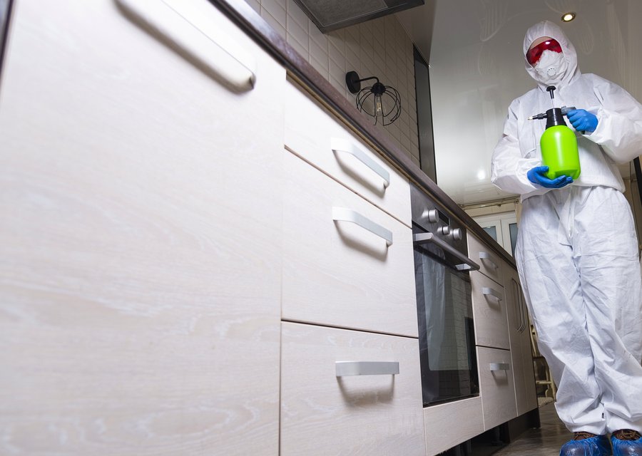 Bug Free Pest Control Inc pest control work in Apollo