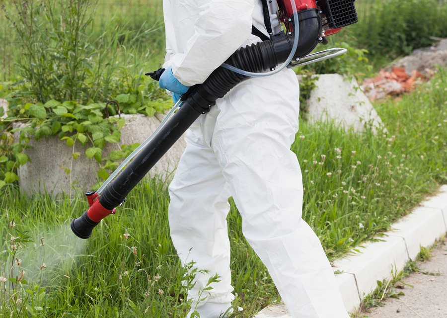 Pest treatment in Apollo, PA