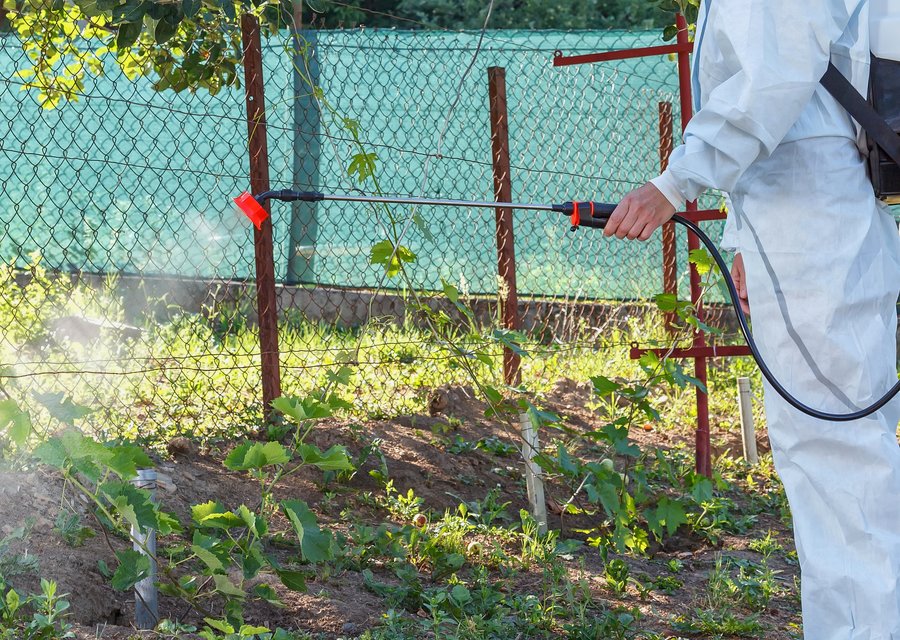 Pest treatment in Eddystone, PA
