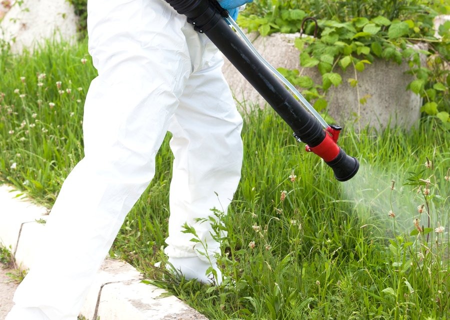 BugX Pest Control & Termite LLC pest control work in Albert Lea