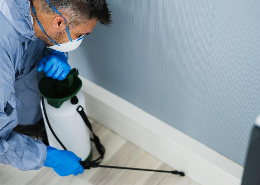 Pest treatment in Albert Lea, MN
