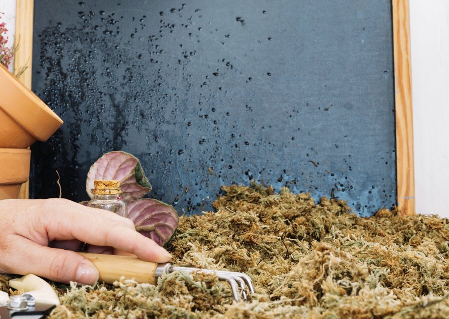 Leonard's Termite Control Co pest control work in Dana Point