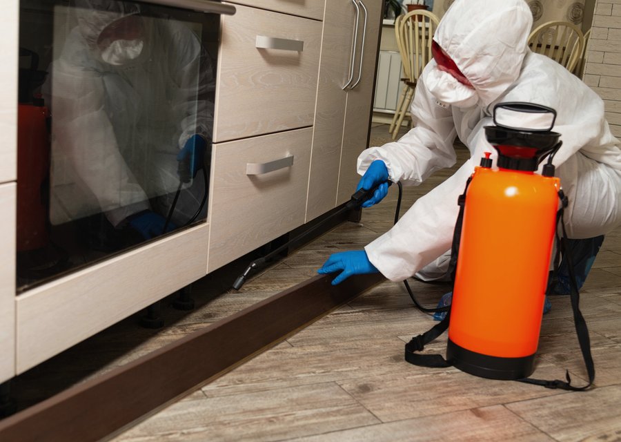 Beyond Pest Management pest control work in Cave Junction