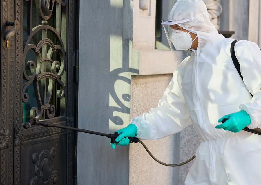 Pest treatment in Clark, NJ