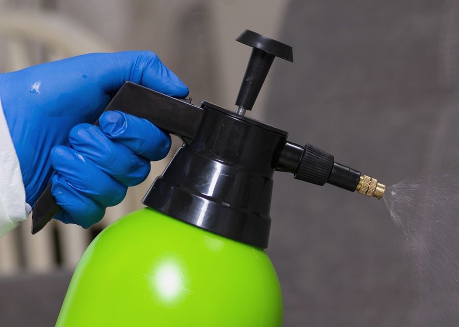 Pest treatment in Bennettsville, SC