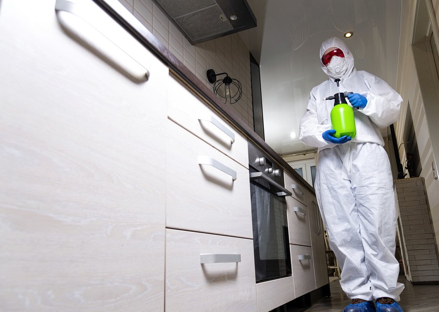 Pest treatment in Fellsmere, FL