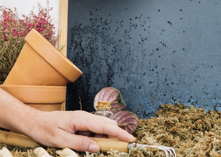 Grace & Mercy Exterminating LLC pest control work in Islip