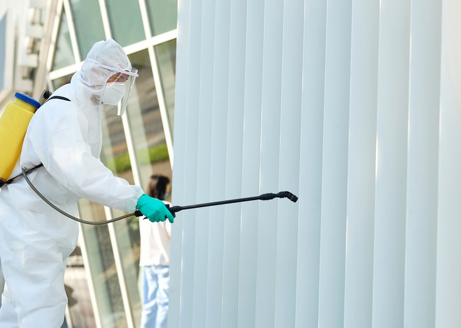 Pest treatment in Islip, NY