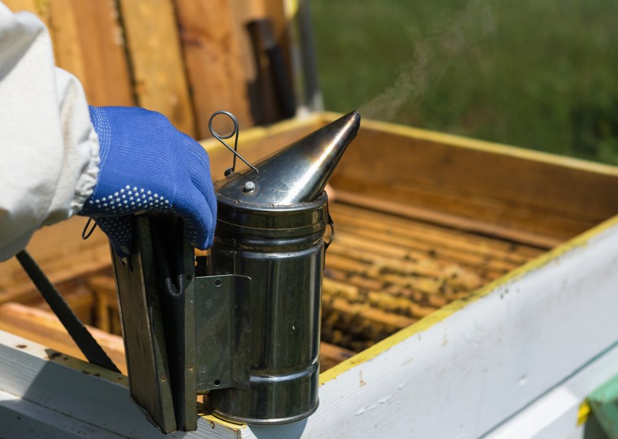 Pest treatment in Woodbridge, NJ
