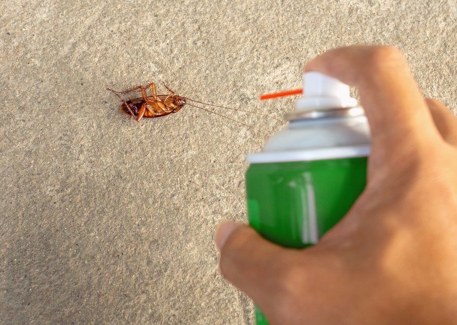 Defender Pest Control pest control work in East Lansing