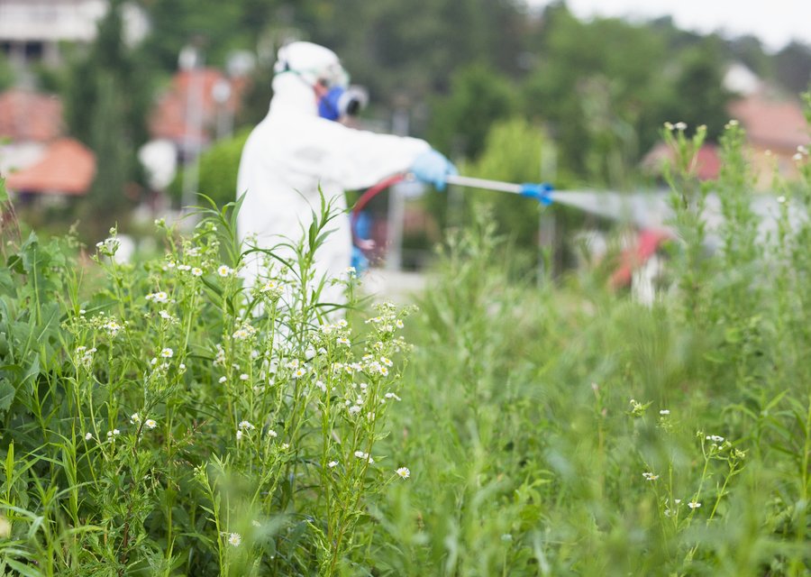 Pest treatment in Bend, OR