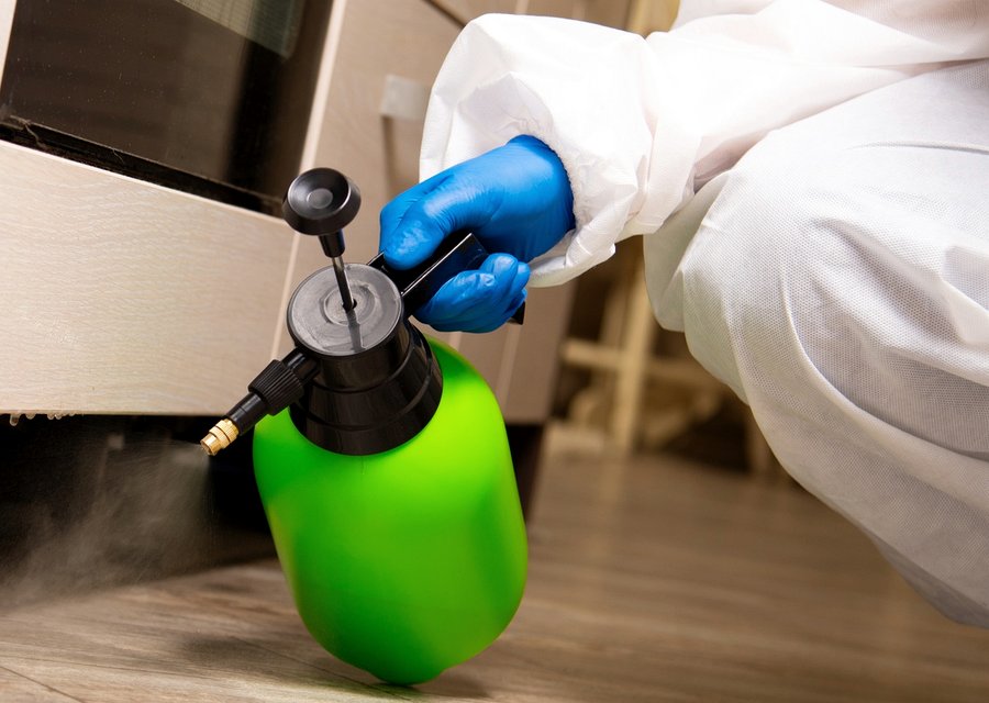 All In One Wildlife & Pest pest control work in Islip
