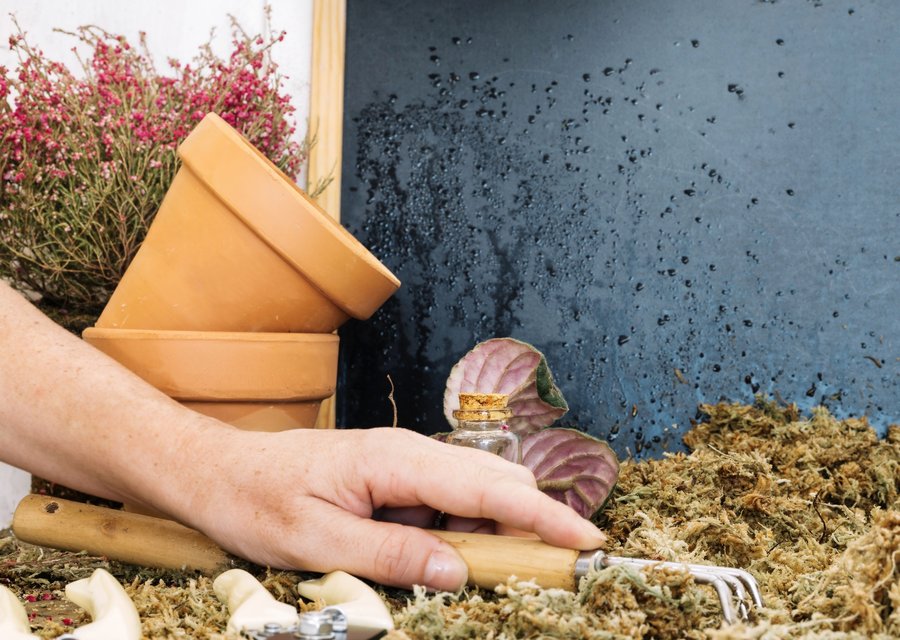 Local exterminator Louisville
