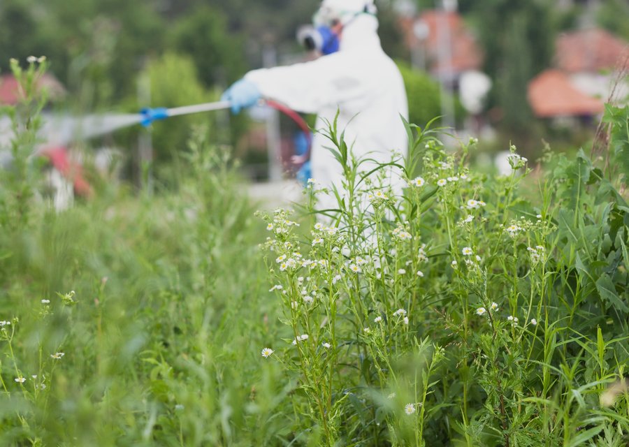 Excel Turf and Pest pest control work in Washington