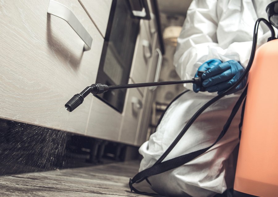 Pest treatment in Bladensburg, MD