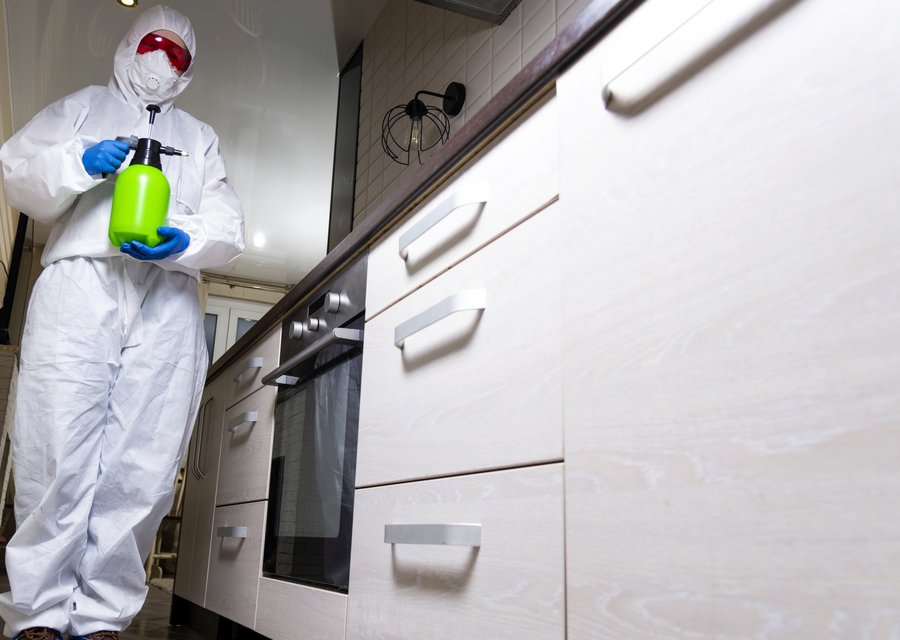 Pest treatment in Brookhaven, NY