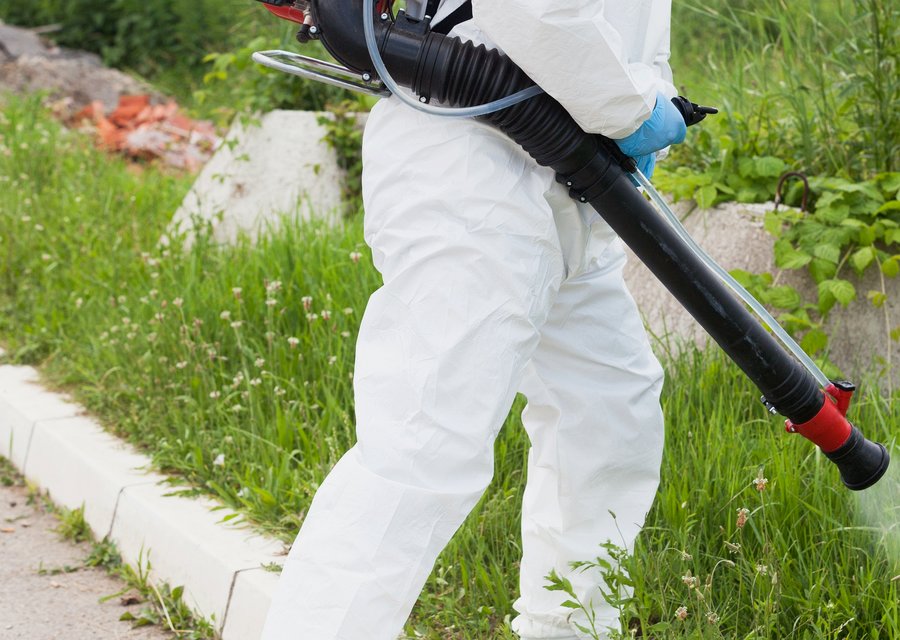 Local exterminator Fair Lawn