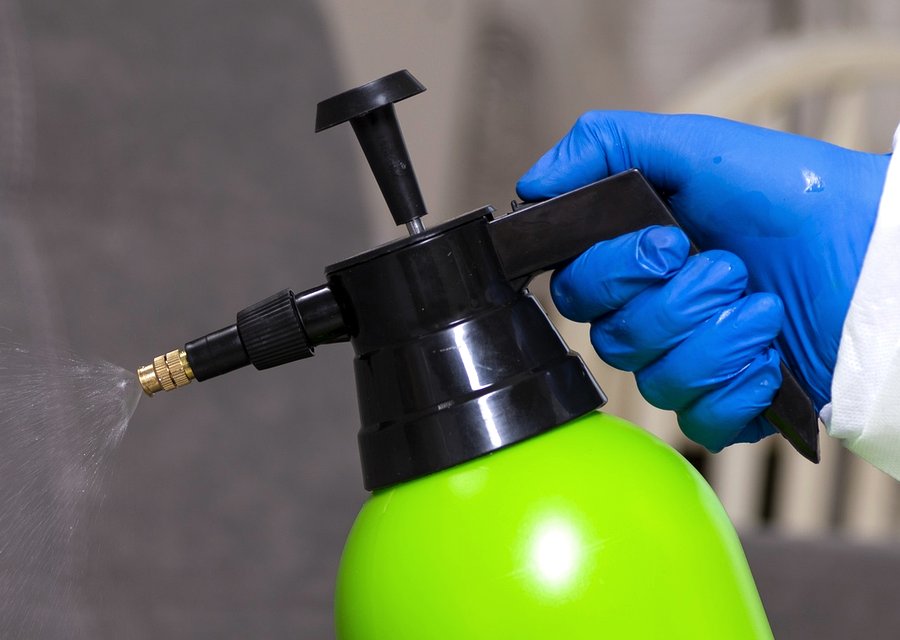 Pest treatment in Center Point, TX