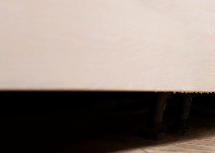 Pest treatment in Curtice, OH