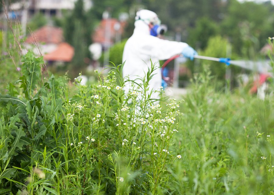 Pest treatment in East Pennsboro, PA