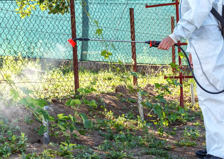 Local exterminator East Pennsboro