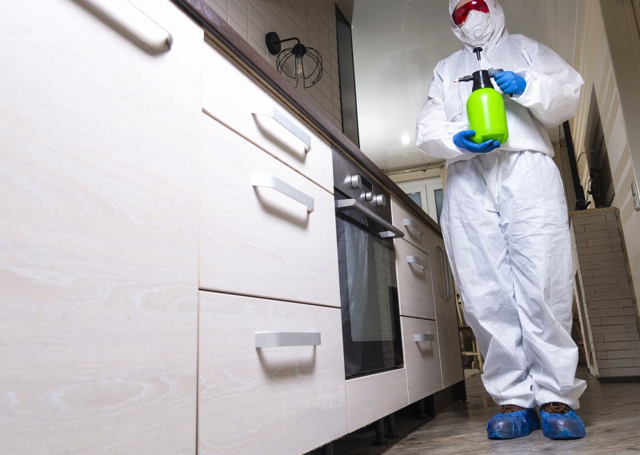 Clanton Pest Control pest control work in Frankston