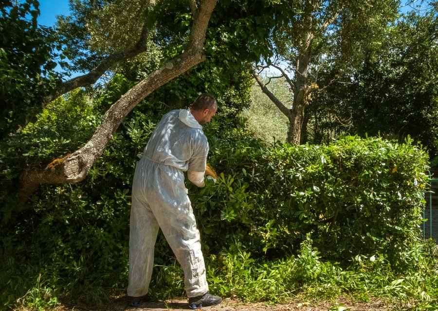 Local exterminator Fairburn