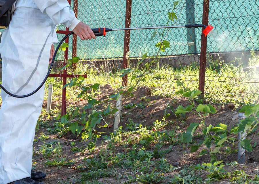 Pest treatment in Elm City, NC