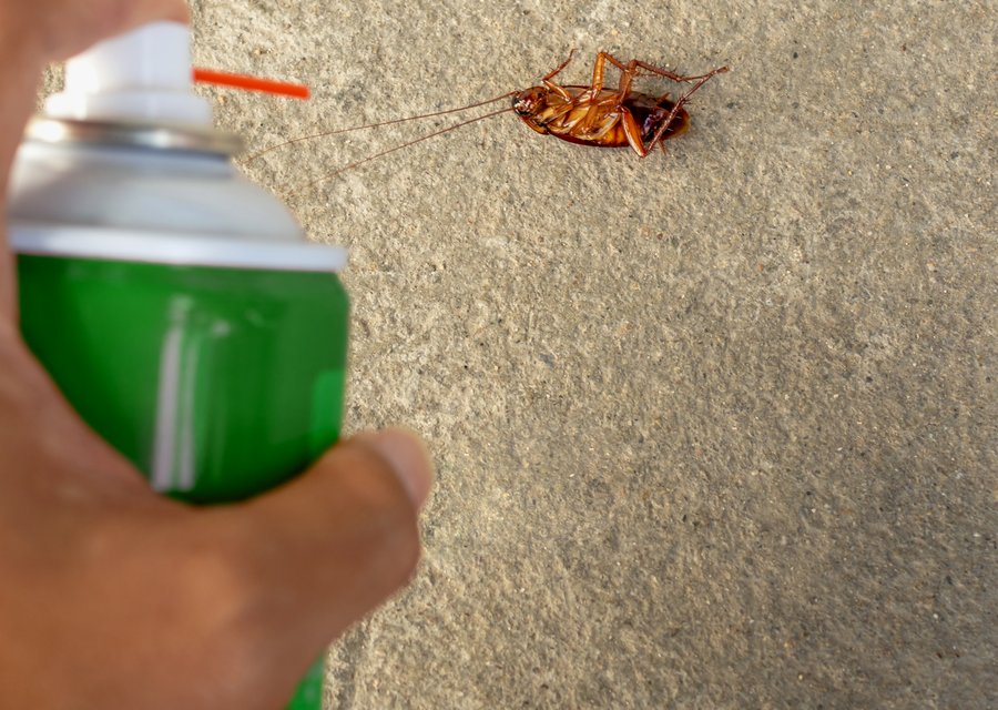 Dependable Pest Service pest control work in Champlin