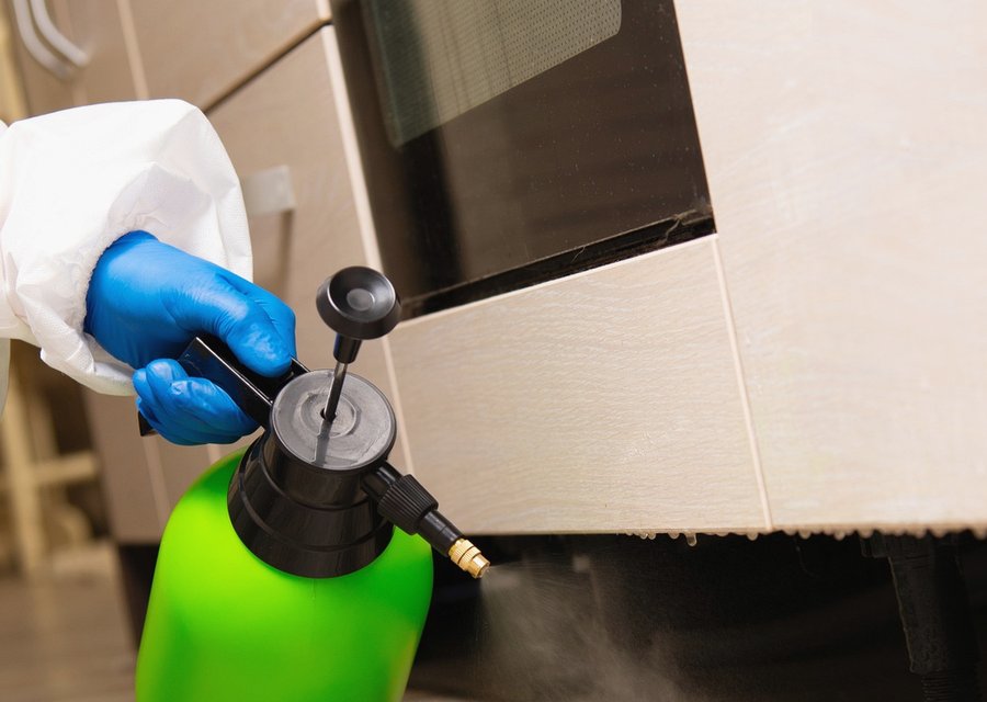 Pest treatment in Fort Pierce, FL