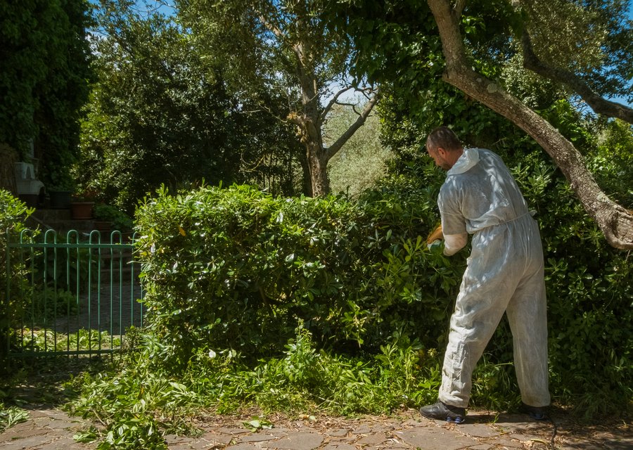 Local exterminator Durham