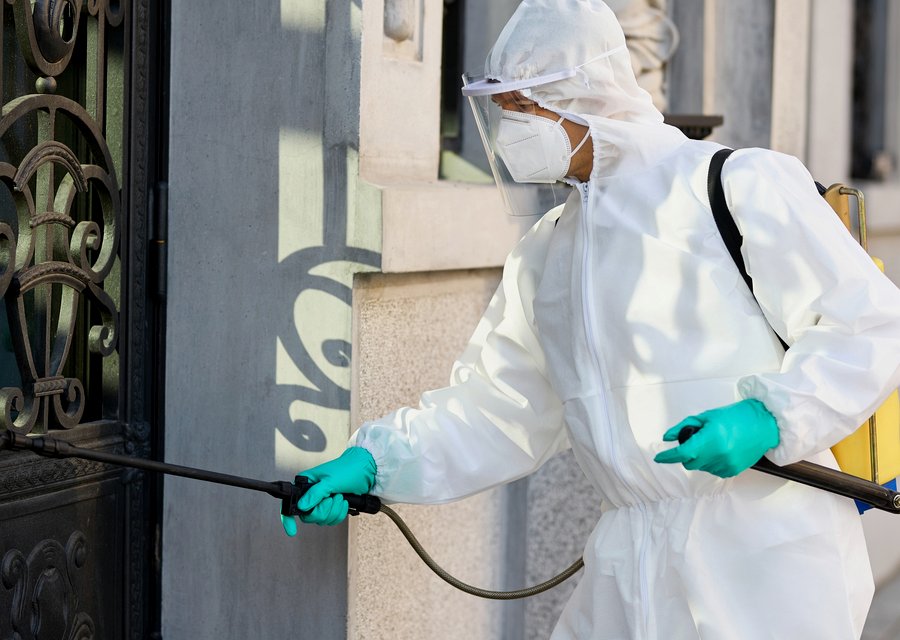 Green Wave Pest Solutions pest control work in Upper Dublin