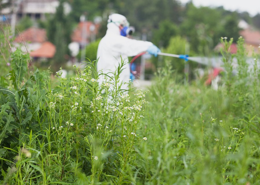 Pest treatment in Aurora, OR