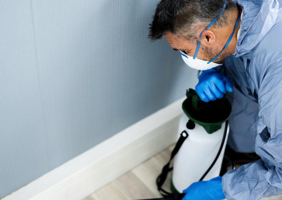 Pest treatment in Middle Paxton, PA