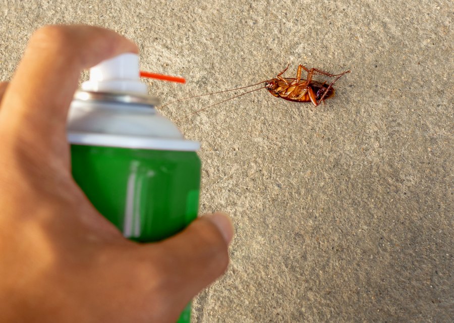 Lakes Area Pest Control pest control work in Brandenburg