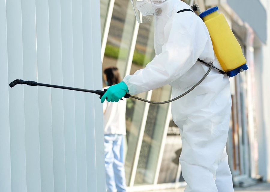 Pest treatment in Cape Charles, VA