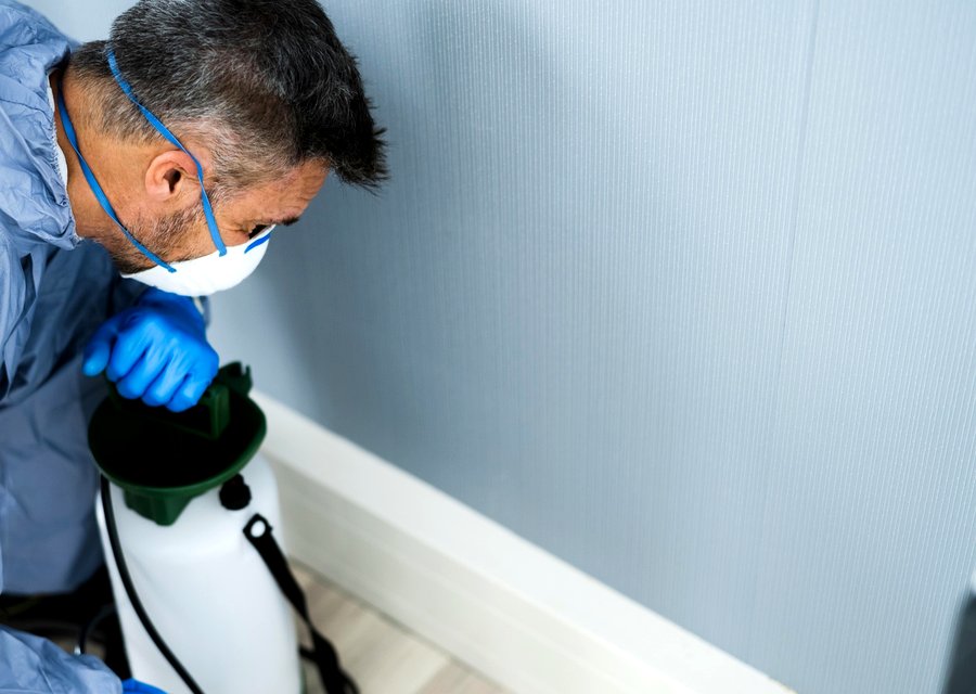 Dawson Pest Control pest control work in Brookline