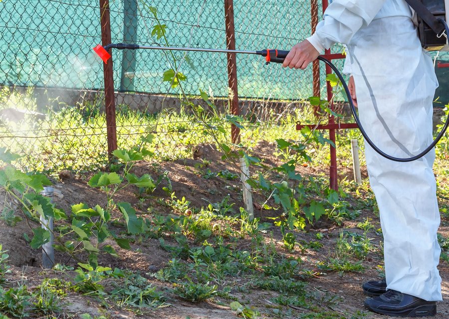Mission One Exterminating Co pest control work in Colts Neck