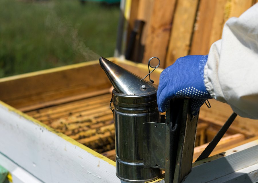 Bug snap pest control pest control work in Gambrills