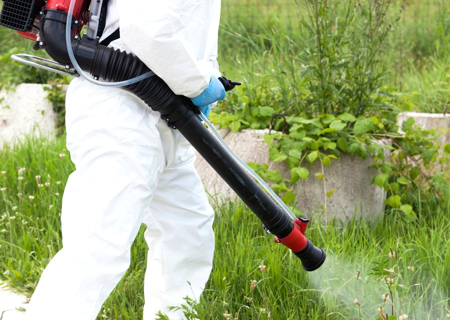 Pest treatment in Fairhaven, MA
