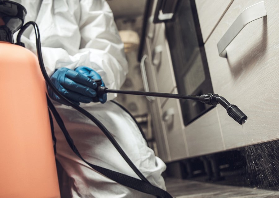 Pest treatment in York, PA