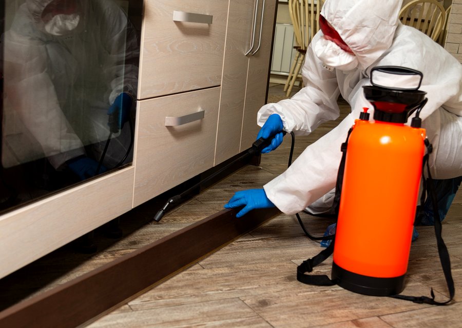 Pest treatment in Council Bluffs, IA