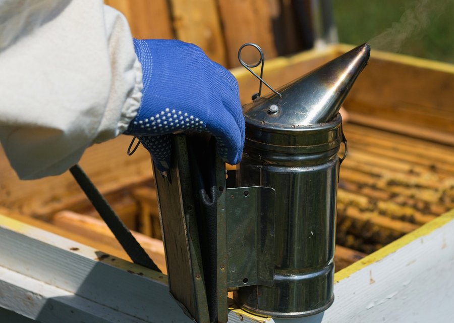 A & A Termite Pest Control pest control work in Atlantic City