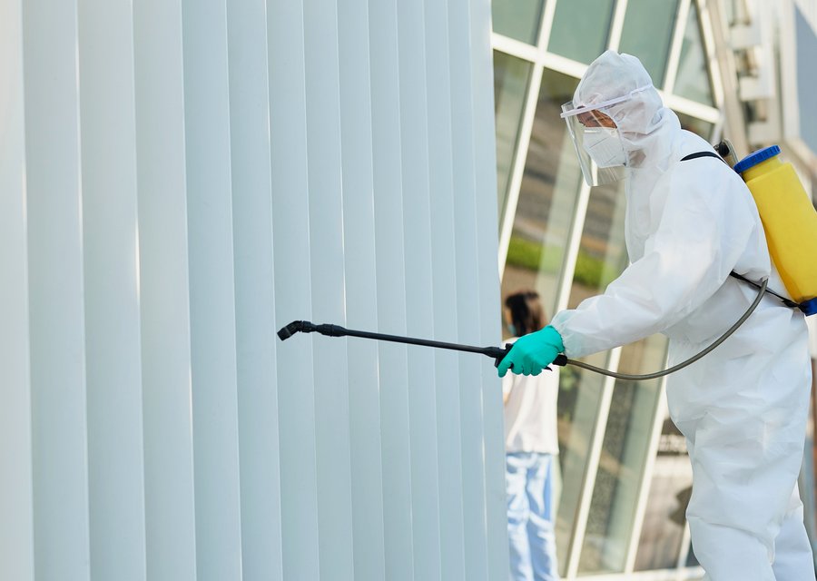 Diversified Pest pest control work in Annville