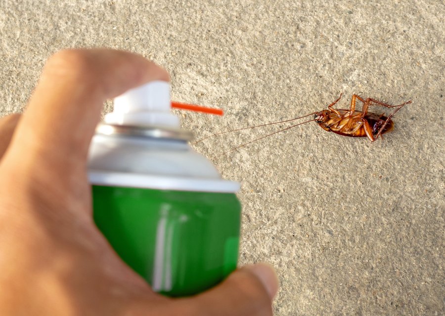 Anthem Pest Control pest control work in Middletown