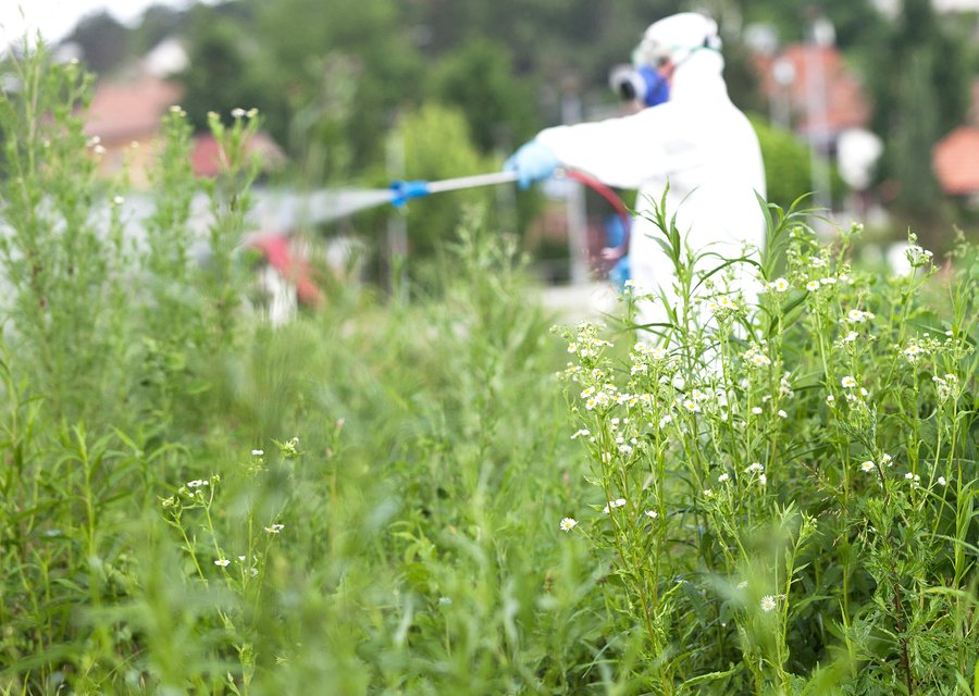 Kapture Pest Control pest control work in Flora