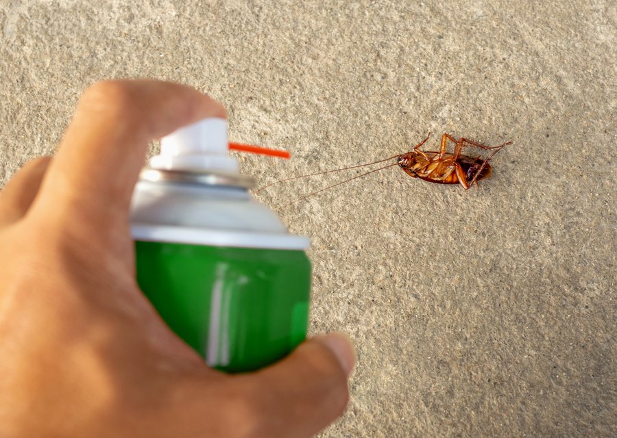 All Metro Pest Services Inc pest control work in Clarks Summit