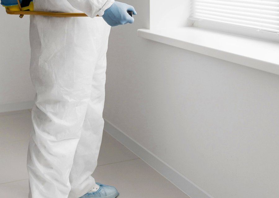 Pest treatment in Albertville, MN